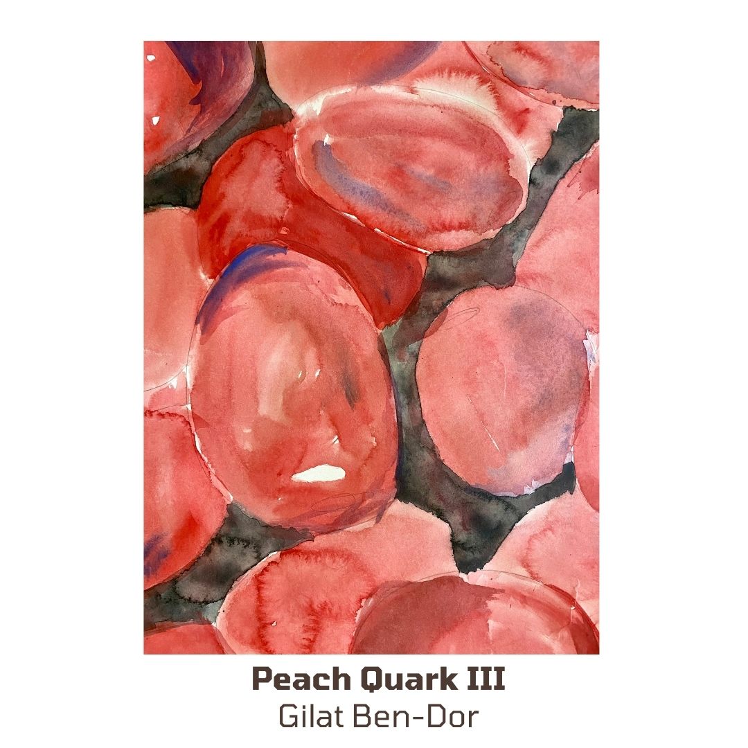 Peach Quark I-IV - Gilat Ben-Dor Fine Art