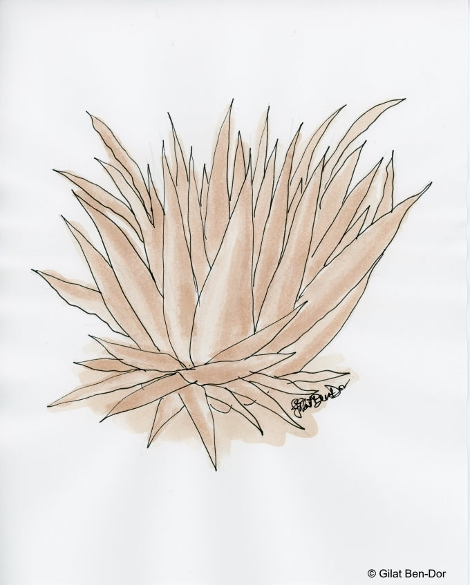 Agave Vintage: Wine and Ink ORIGINAL Desert Flora Painting by Gilat Ben-Dor