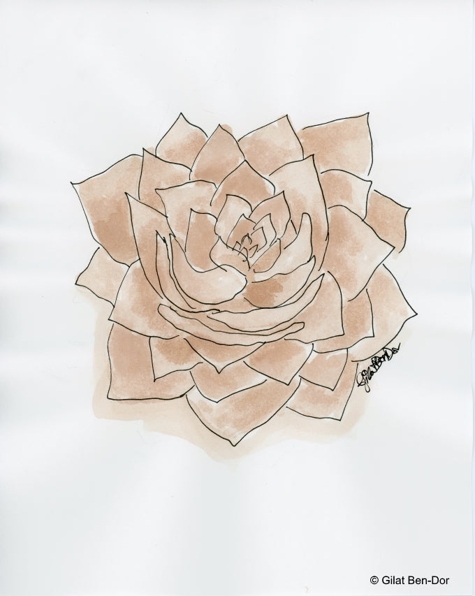 Dudleya Vintage: Wine and Ink ORIGINAL Desert Flora Painting by Gilat Ben-Dor
